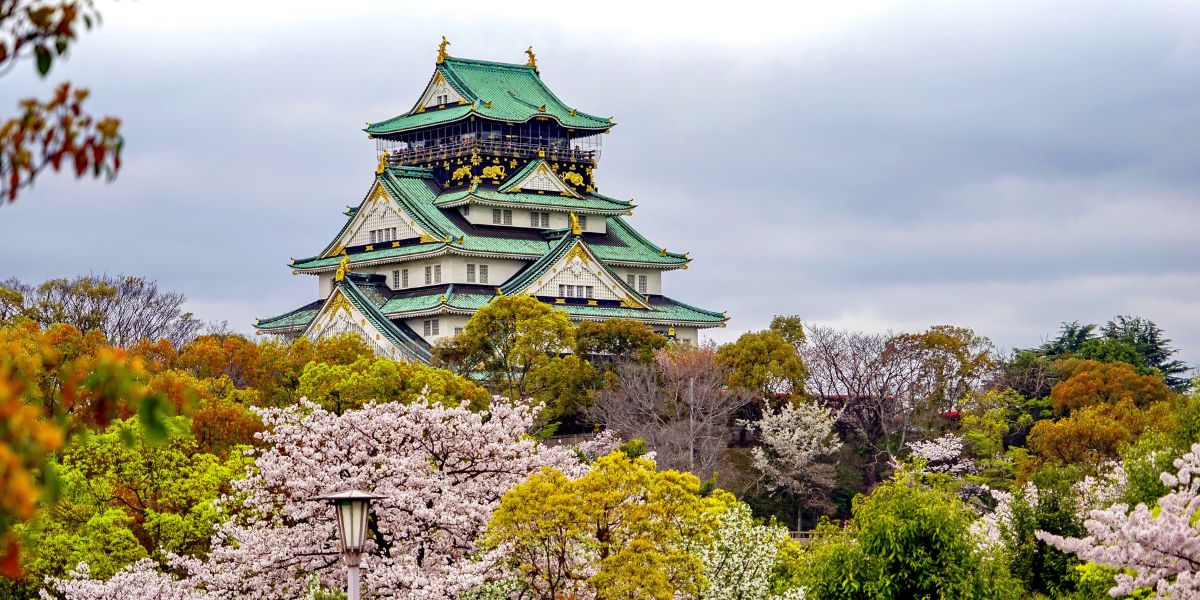 Everything You Need to Know About the JLPT N5: Your First Step Toward Inevitable Japanese